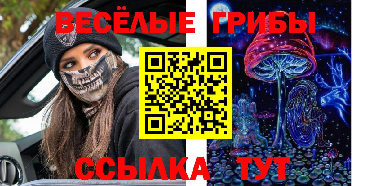 Псилоцибиновые грибы Psilocybine cubensis Курчалой