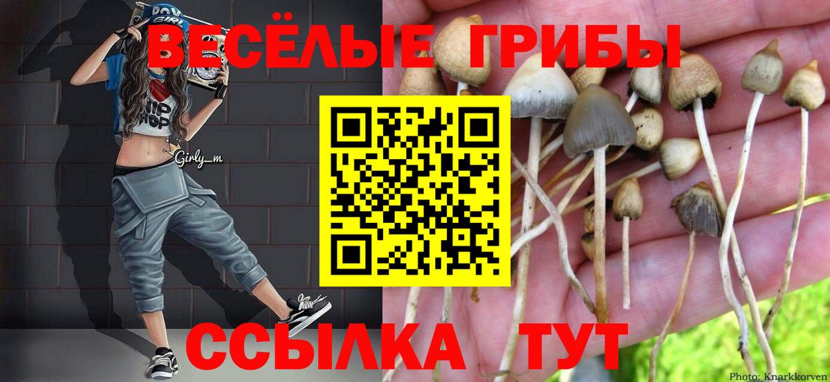 Курчалой  Псилоцибиновые грибы мицелий  Вход с VPN 